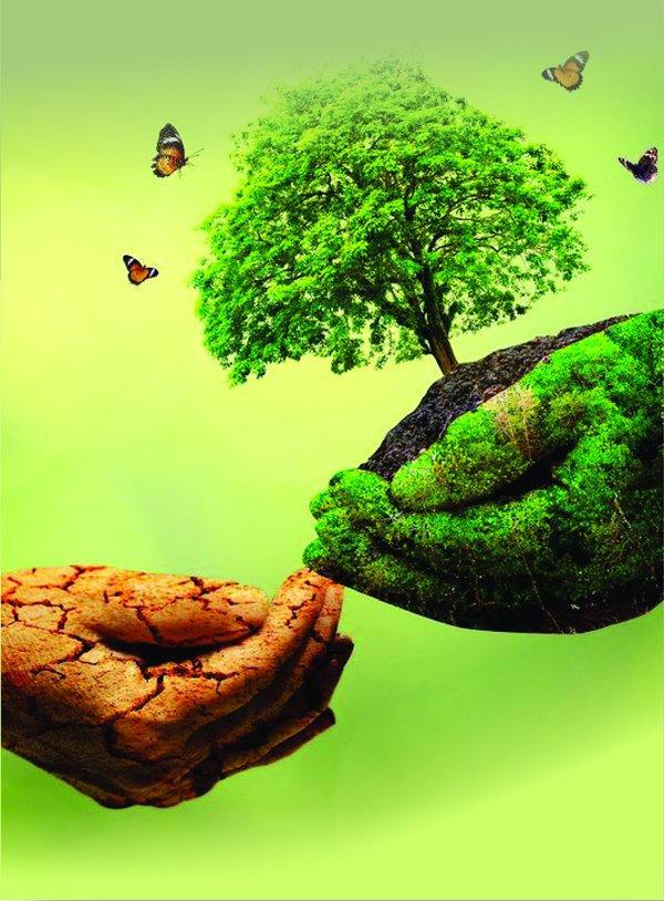 Capa do livro Educação Ambiental Cidadã — Editora Educandus