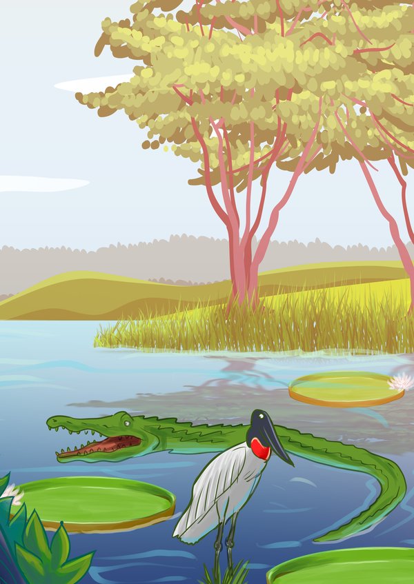 Capa do livro Uma Viagem pelo Pantanal — Série Um Único Planeta